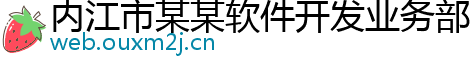 内江市某某软件开发业务部